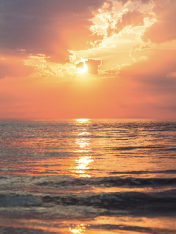 วอลเปเปอร์ภาพทะเล (สั่งผลิต)