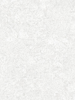 วอลเปเปอร์ลายปูนเปลือยคอนกรีต สีเทาอ่อน DES-F12W