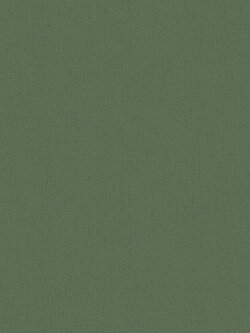 วอลเปเปอร์ สีพื้นเขียว AVN1-C56W
