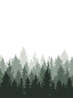 วอลเปเปอร์ภาพป่าเขตร้อน Tropical (สั่งผลิต)