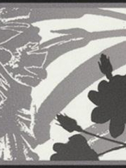 บอเดอร์ ESP7-M056