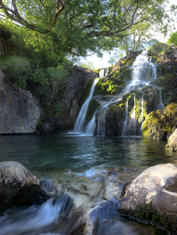 วอลเปเปอร์ภาพน้ำตก (สั่งผลิต)