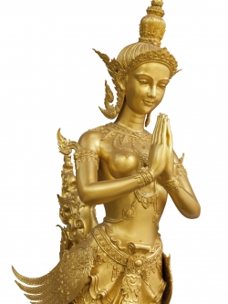 วอลเปปอร์ ภาพทอง