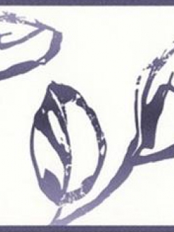 บอเดอร์ ESP7-M033