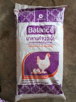 BALANCE FEED อาหารไก่ระยะไข่ 16 สัปดาห์ ขึ้นไป บาลานส์ 923m แบบผง 16%