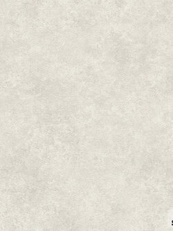 วอลเปเปอร์ ลายปูนเปลือย โทนสีเทา TRD-M65