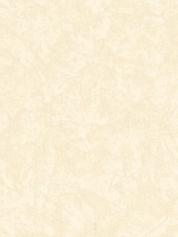 วอลเปเปอร์ ปูนเปลือย TL-F43