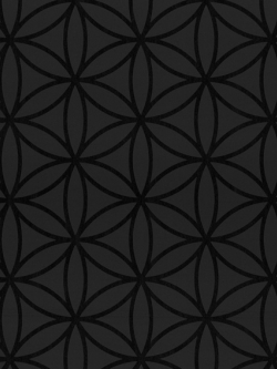 วอลเปเปอร์ โมเดิร์น AT-F21