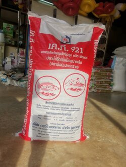 อาหารปลาช่อน ปลากรายเล็ก KT921 40 % โปรตีน (ปลาหลิม ในภาษาเหนือ)