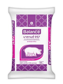 Balance Swine Feed อาหารหมูแม่พันธุ์ระยะให้นม บาลานส์ 957 เลี้ยงลูกและสุกรพันธุ์น้ำหนักมากกว่า 90กก.