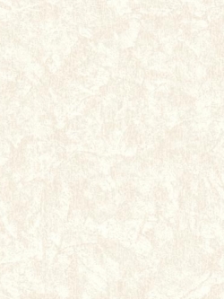 วอลเปเปอร์ ปูนเปลือย TL-F41