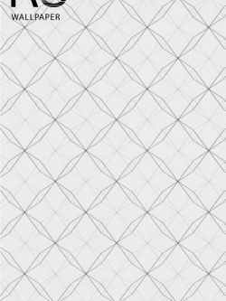 วอลเปเปอร์ลายโมเดิร์นกราฟฟิคพื้นสีขาวหม่นเส้นสีเงินกับสีดำ SMT-D75