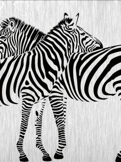 วอลเปเปอร์ เสริมฮวงจุ้ยภาพรูปม้า 001