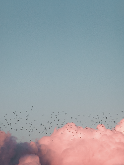 วอลเปเปอร์ภาพท้องฟ้า (สั่งผลิต)