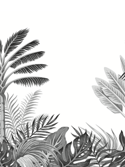 วอลเปเปอร์ภาพป่าเขตร้อน Tropical (สั่งผลิต)