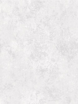 วอลเปเปอร์ลายปูนเปลือย สีขาว (Rustic Style) NA3-D46W