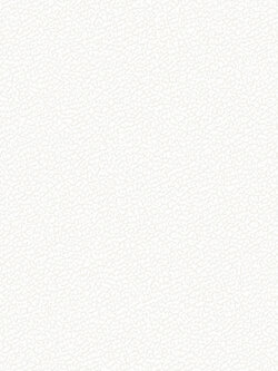 วอลเปเปอร์สีครีม DES-F76W