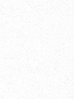 วอลเปเปอร์ ลายอิฐTM-B37