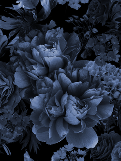 วอลเปเปอร์ภาพดอกไม้ (สั่งผลิต)