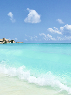 วอลเปเปอร์ภาพทะเล (สั่งผลิต)