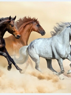 วอลเปเปอร์ เสริมฮวงจุ้ย ภาพรูปม้า 010