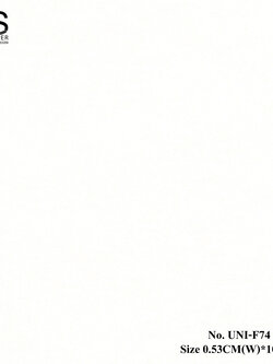 วอลเปเปอร์ติดผนัง ลายปูนเปลือย สีขาว No.UNI-F74