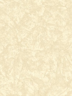 วอลเปเปอร์ ปูนเปลือย TL-F45