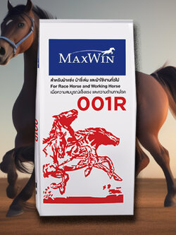 อาหารม้าแข่ง MAXWIN 001R แม็กซ์วิน สำหรับม้าแข่ง ม้าขี่เล่น และม้าใช้งานทั่วไป บรรจุ 30กก.