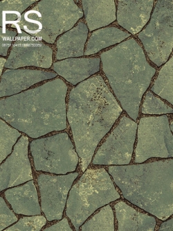 วอลเปเปอร์ ลายหิน NW-S46
