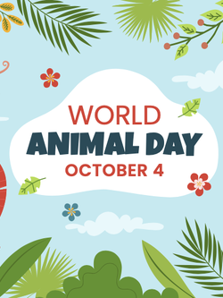 วอลเปเปอร์ห้องเด็ก ลายการ์ตูน (สั่งผลิต)