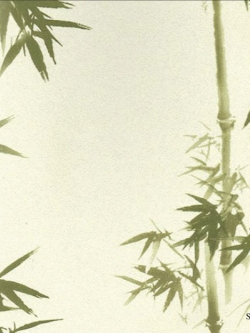 วอลเปเปอร์ลายต้นไผ่