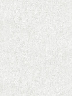 วอลเปเปอร์ ปูนเปลือยสีขาว NO7-F02W