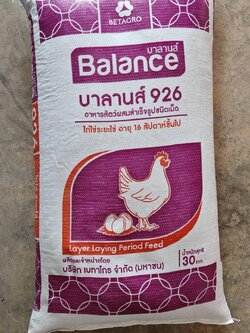 BALANCE FEED อาหารไก่ไข่บาลานส์ ระยะไข่ 16 สัปดาห์ขึ้น 926 18% แบบเม็ด