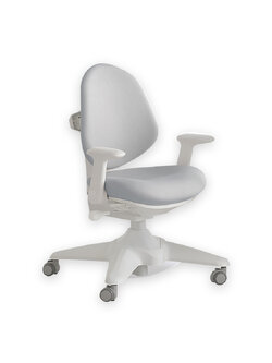 เก้าอี้เพื่อสุขภาพเด็ก WiKid Ergonomic สีเทา