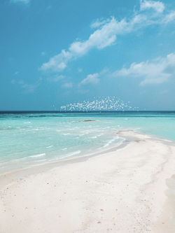 วอลเปเปอร์ภาพทะเล (สั่งผลิต)