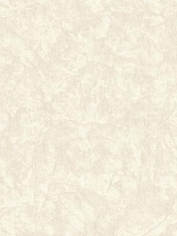 วอลเปเปอร์ ปูนเปลือย TL-F42