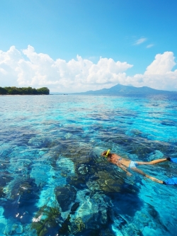 วอลเปเปอร์ ภาพใต้ท้องทะเล