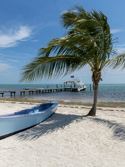 วอลเปเปอร์ภาพทะเล (สั่งผลิต)