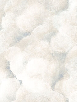 วอลเปเปอร์ ลายก้อนเมฆ AVA-D12W