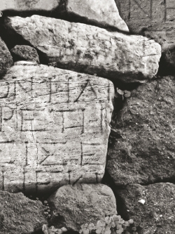 วอลเปเปอร์ ลายอิฐ หิน ไม้ NA-D31W