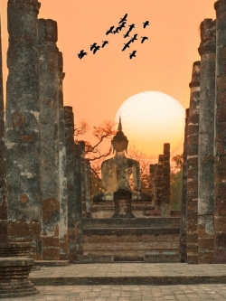 วอลเปเปอร์ ภาพวิวเมือง SS0214