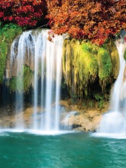 วอลเปเปอร์ ภาพวิว น้ำตกSS0492