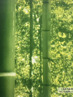 วอลเปเปอร์ลายไม้ไผ่ GEN2-M45