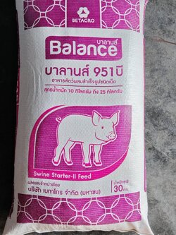 BALANCE FEED บาลานส์ 951บี อาหารหมูน้ำหนักเกิน 15 - 30 กก. for weaned swine - 30 kg