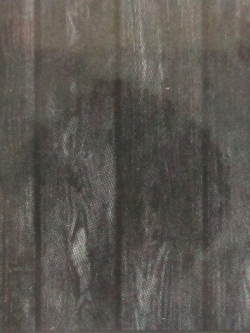 วอลเปเปอร์ ลายไม้ SO-D36