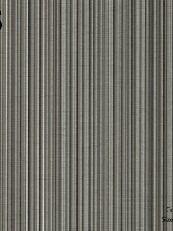 วอลเปเปอร์ลายเส้น TP-M107