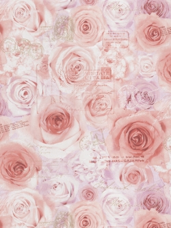 วอลเปเปอร์ลายสแตมป์ดอกกุหลาบโทนสีชมพูม่วง GAR3-B49W