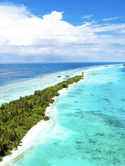 วอลเปเปอร์ภาพทะเล (สั่งผลิต)