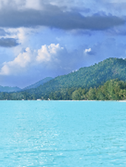 วอลเปเปอร์ภาพทะเล (สั่งผลิต)