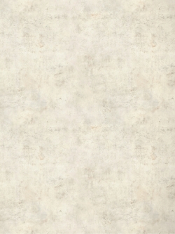 วอลเปเปอร์เยอรมัน ลายปูนเปลือย No.FAC3-B09